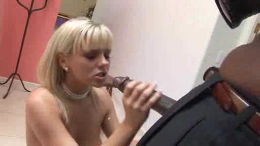 Bree Olson In Lingerie Sucks Black Cock Alpha Porno